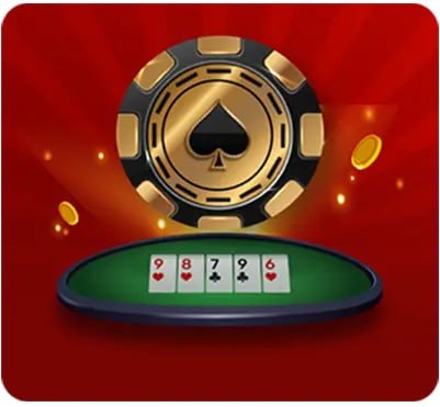 96955 bet